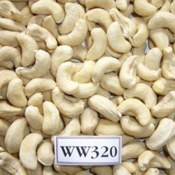 Cashews (320 no.)
