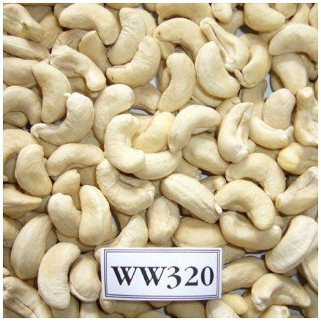 Cashews (320 no.)