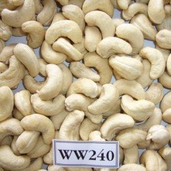 Cashews (240 no.)
