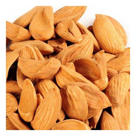 badam nuts price