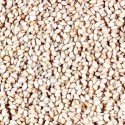 Til (White) Sesame seeds