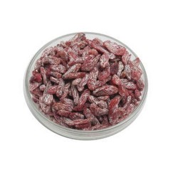 Kishmish Raisins rose