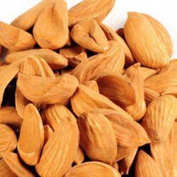 Almond (Mamra)