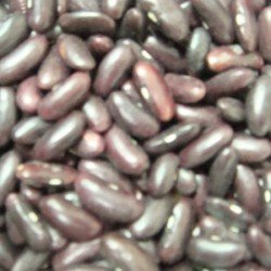 Rajma Madrasi