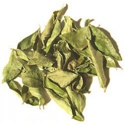 Curry Leaf