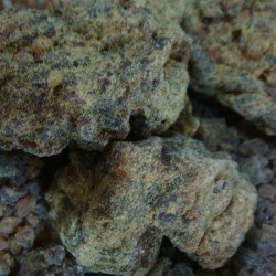 Asafoetida (Special)