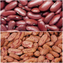 Rajma (Kidney Beans)